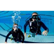 $80 for a PADI Open-Water Diver Pool Session at Caribbean Dreams Diving ($165 Value)