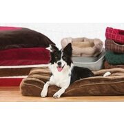 Large Assortment of Beds - Up to 50% off