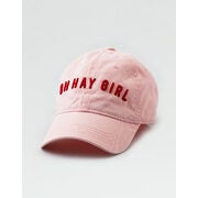 AEO Embroidered Baseball Hat - $6.20 ($16.10 Off)