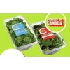 Compliments Baby Spinach or Spring Mix  - $4.99